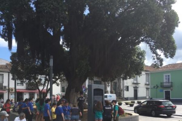 modernizacao2019_1_ob5go4xp8f3hsx7db7m9retr0twkfgnao0uym3mcyc