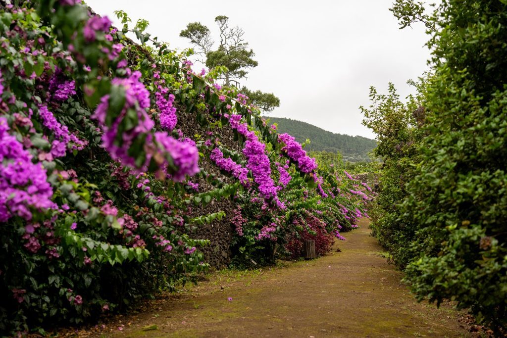 Parque Pedagógico Recreativo Infantil Maria das Mercês Carreiro
